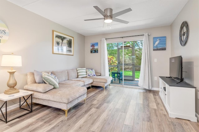 living room featuring ceiling fan and light hardwood / wood-style flooring