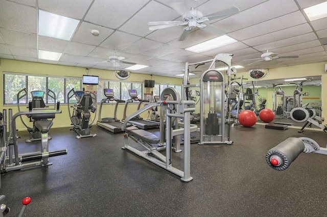 workout area featuring ceiling fan and a paneled ceiling