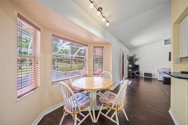 dining room with dark hardwood / wood-style floors and lofted ceiling