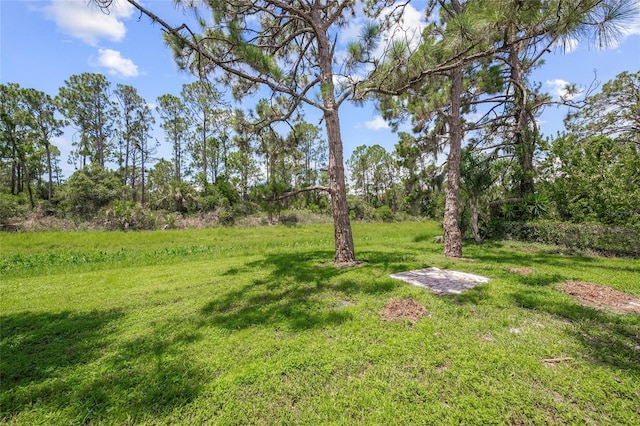 view of yard