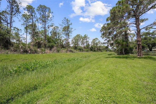 view of nature