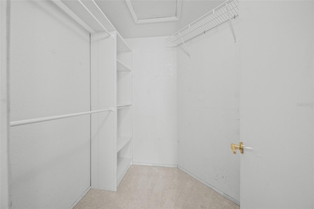 spacious closet featuring light colored carpet