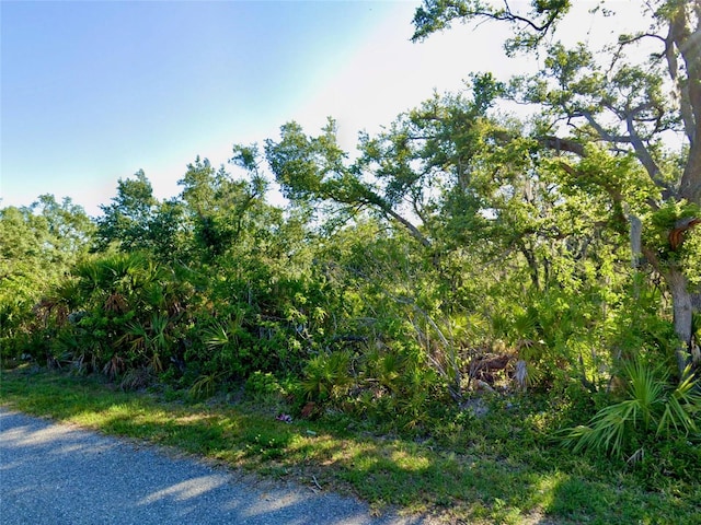 Listing photo 3 for Santa Rosa St, North Port FL 34287