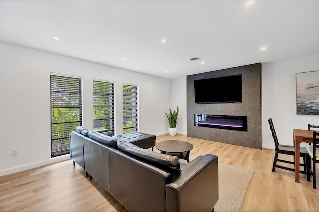 living room featuring a fireplace and light hardwood / wood-style floors