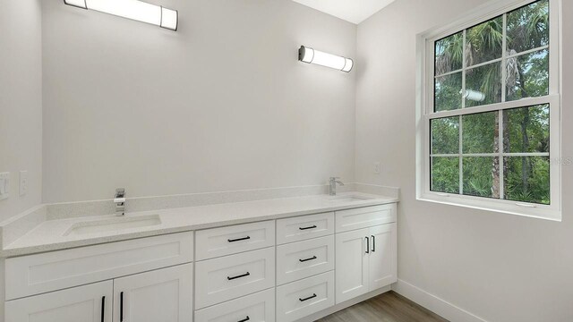 bathroom with hardwood / wood-style flooring, vanity, and plenty of natural light