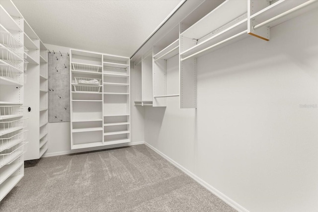 spacious closet with carpet flooring