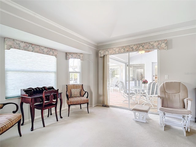 sitting room with ornamental molding and carpet floors