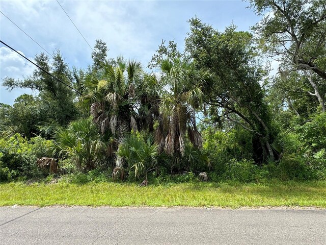 18073 Vanderbuilt Ave, Port Charlotte FL, 33948 land for sale