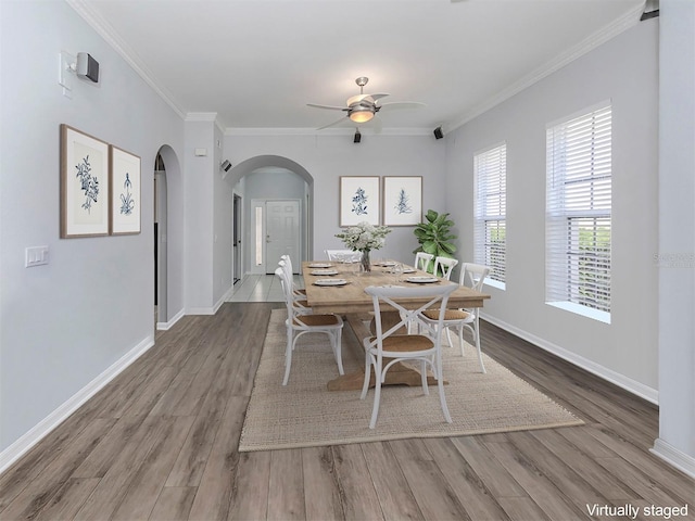 dining area with hardwood / wood-style floors, ceiling fan, and ornamental molding