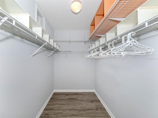 spacious closet featuring hardwood / wood-style flooring