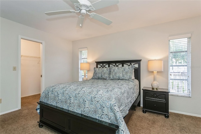 bedroom featuring ceiling fan, a walk in closet, carpet flooring, and multiple windows