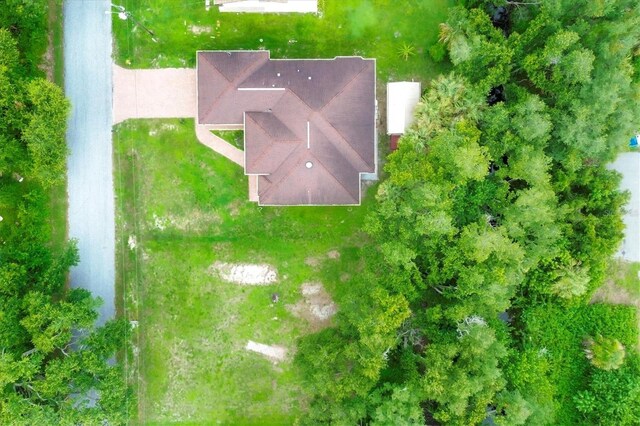 drone / aerial view