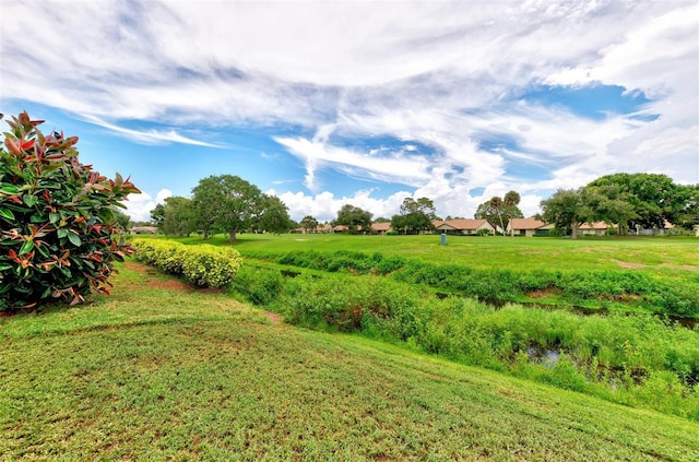 view of yard featuring a rural view