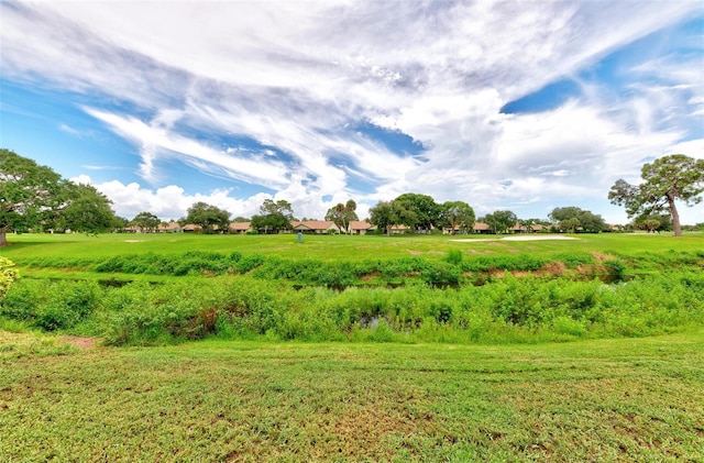 view of local wilderness