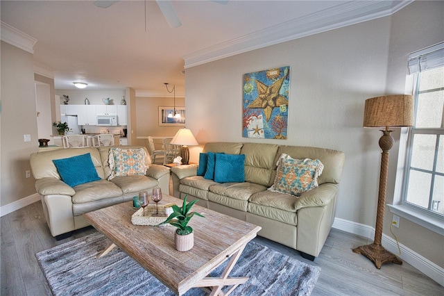 living room with hardwood / wood-style flooring, a healthy amount of sunlight, ceiling fan with notable chandelier, and crown molding