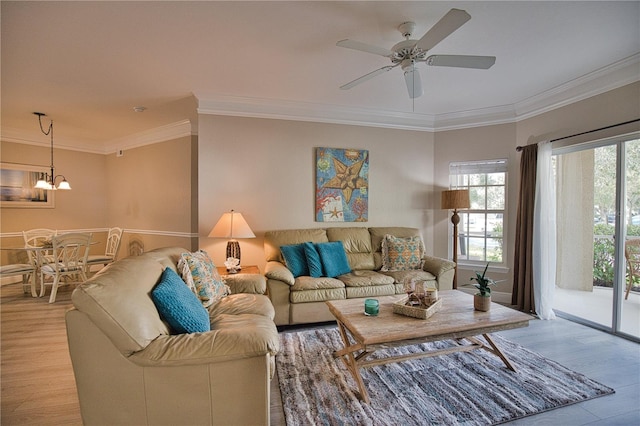 living room with crown molding, ceiling fan with notable chandelier, and light hardwood / wood-style floors