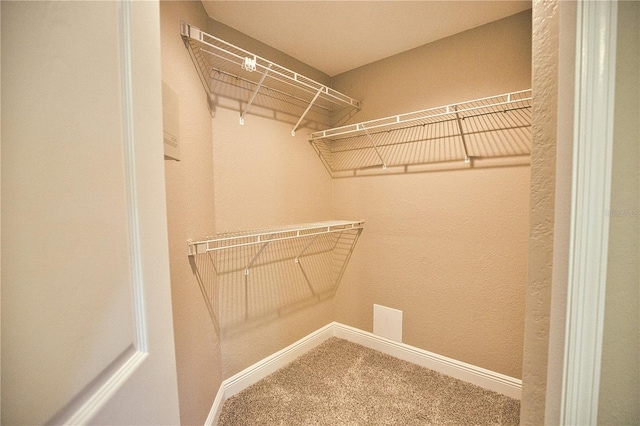 spacious closet with carpet floors