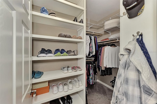 walk in closet featuring carpet floors