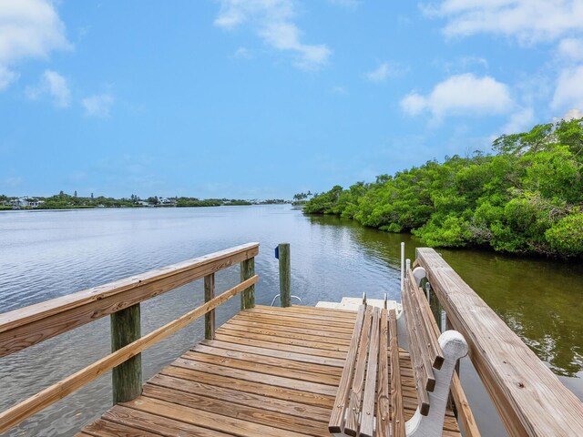 dock area with a water view