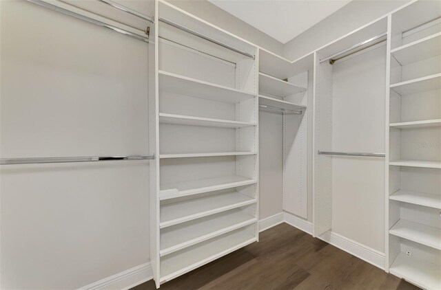 walk in closet featuring dark hardwood / wood-style floors