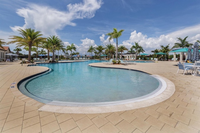 view of pool with a patio area