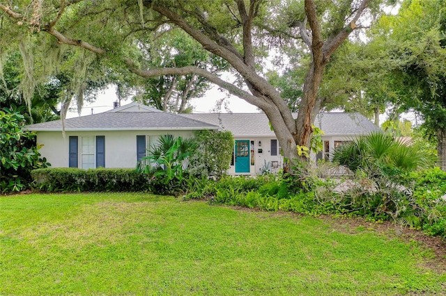 ranch-style home with a front yard