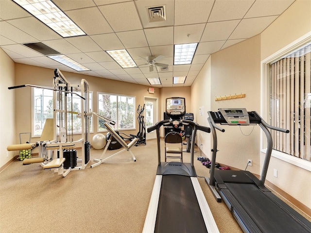 exercise room featuring carpet floors, a drop ceiling, and ceiling fan