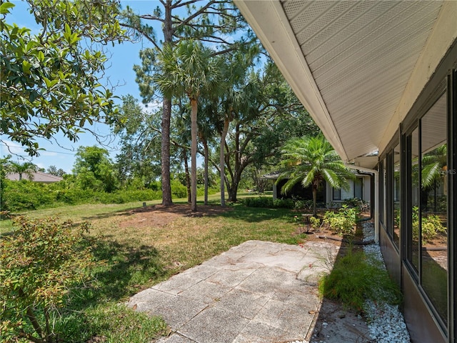 view of yard with a patio