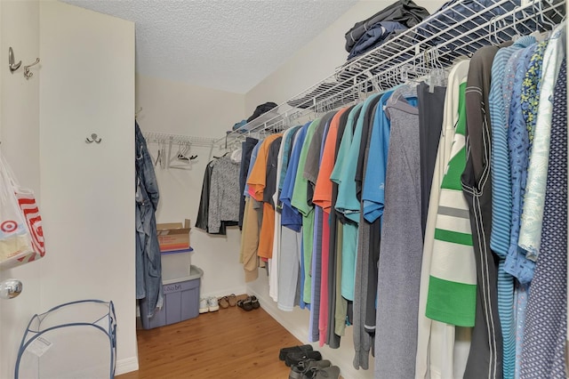 walk in closet with wood-type flooring