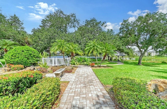 view of community with a lawn