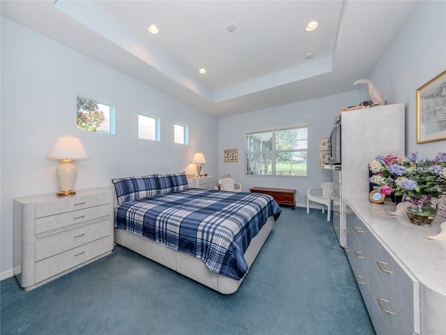 carpeted bedroom featuring a raised ceiling