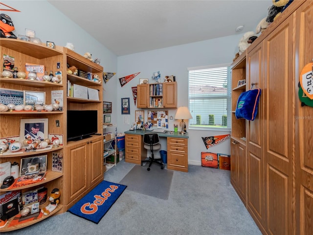 view of carpeted office space