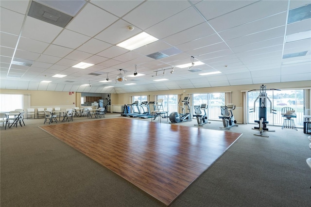 exercise room featuring a paneled ceiling, rail lighting, and carpet