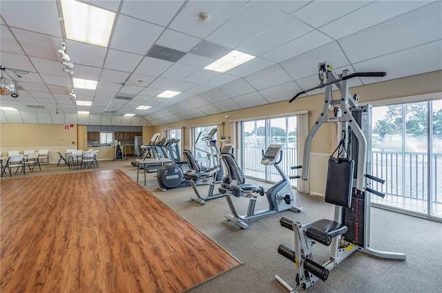 exercise room with light carpet and a drop ceiling