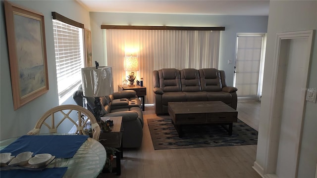 living room featuring wood-type flooring