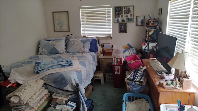 bedroom with carpet floors and multiple windows