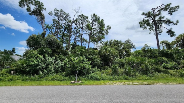 Listing photo 3 for LOT2 Sunnyvale Rd, North Port FL 34288