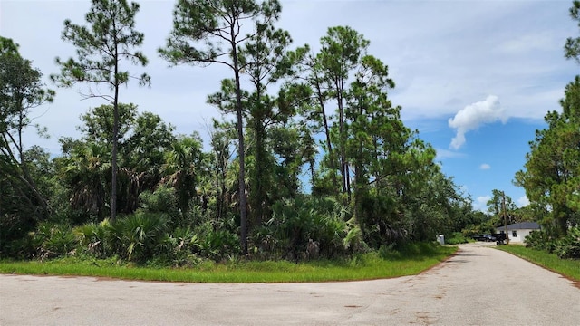 LOT17 Littlefield Ln, North Port FL, 34288 land for sale