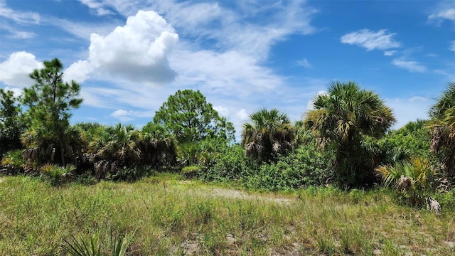 Listing photo 2 for LOT8 Billberry St, North Port FL 34288