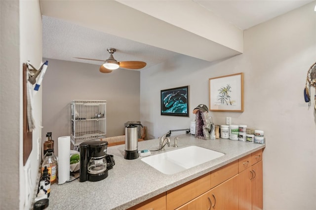 interior space featuring ceiling fan, light brown cabinetry, a textured ceiling, and sink