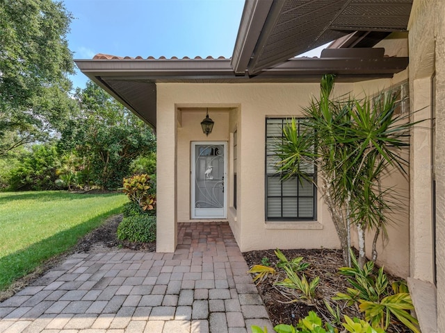 doorway to property featuring stucco siding and a yard