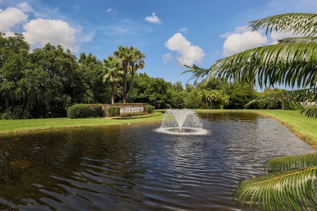 view of water feature