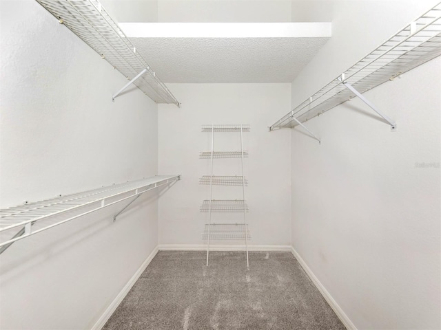 walk in closet featuring carpet flooring