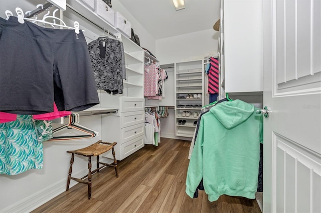 walk in closet featuring hardwood / wood-style flooring