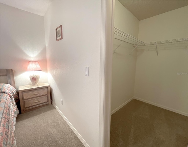 walk in closet with light carpet