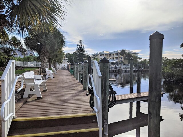 dock area with a water view