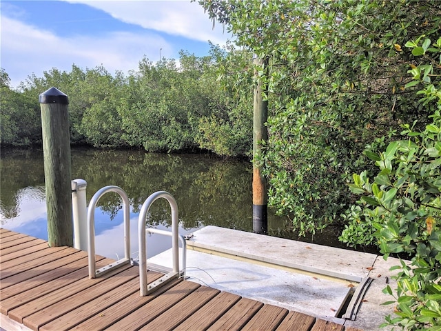 dock area with a water view