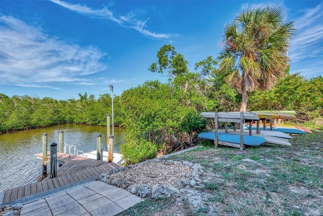 dock area with a water view