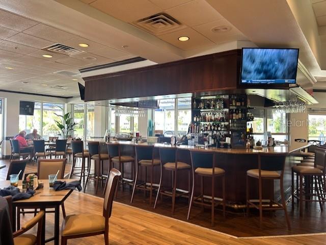 bar featuring hardwood / wood-style flooring, plenty of natural light, and a drop ceiling