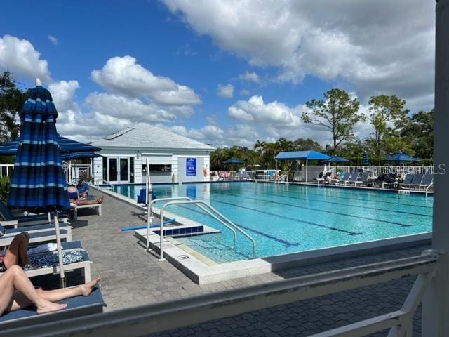 view of pool featuring a patio